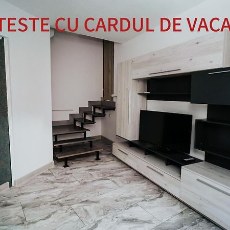 Apartment Attic Sibiu Esterno foto